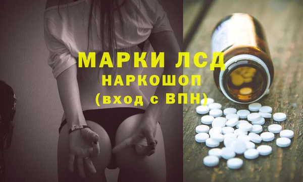 гашик Бородино