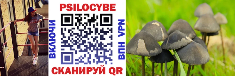 Псилоцибиновые грибы прущие грибы  купить наркотики цена  Ярцево 